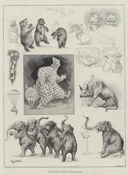 Noahs Arche, im Covent Garden Theatre